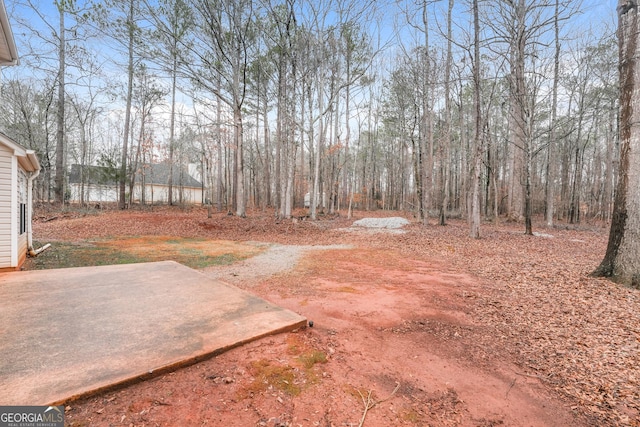 view of yard featuring a patio area