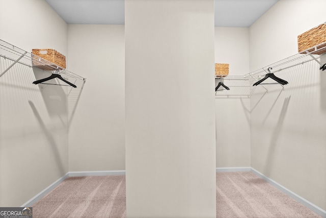 walk in closet with light colored carpet