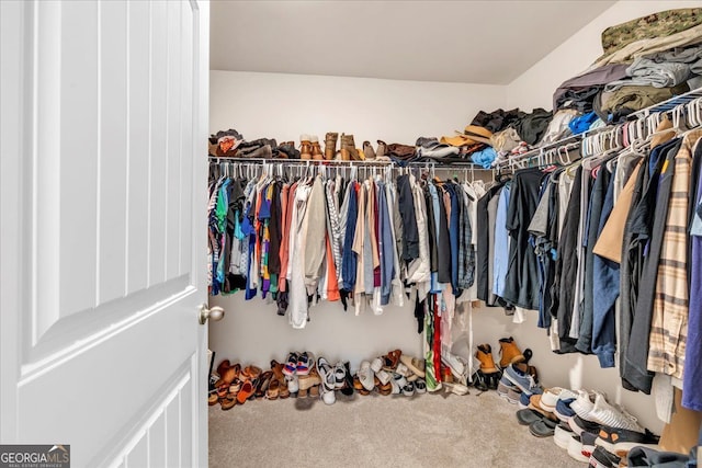 walk in closet featuring carpet flooring