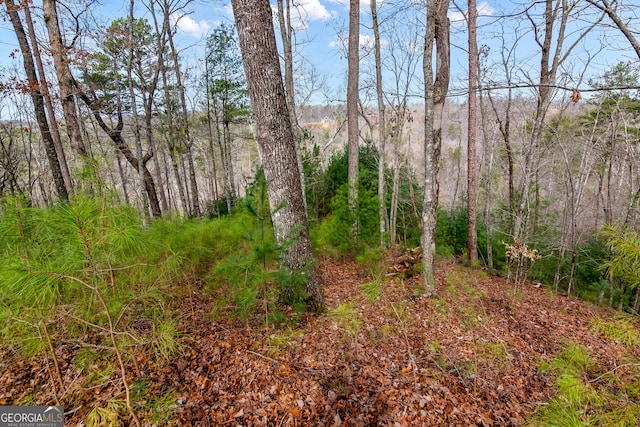 LOT941 Myna Dr, Ellijay GA, 30540 land for sale