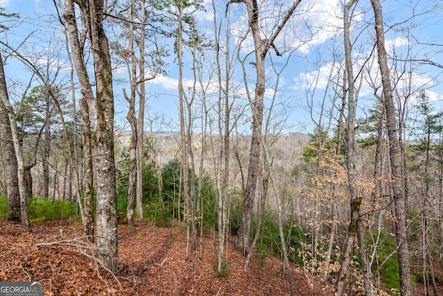 Listing photo 3 for LOT941 Myna Dr, Ellijay GA 30540