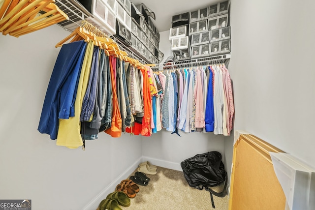 spacious closet featuring carpet floors