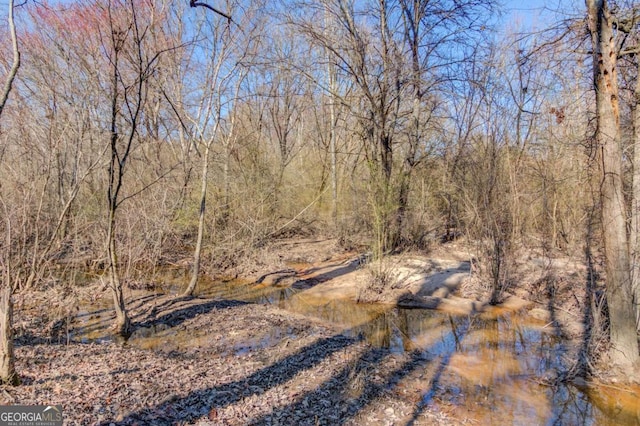 view of local wilderness