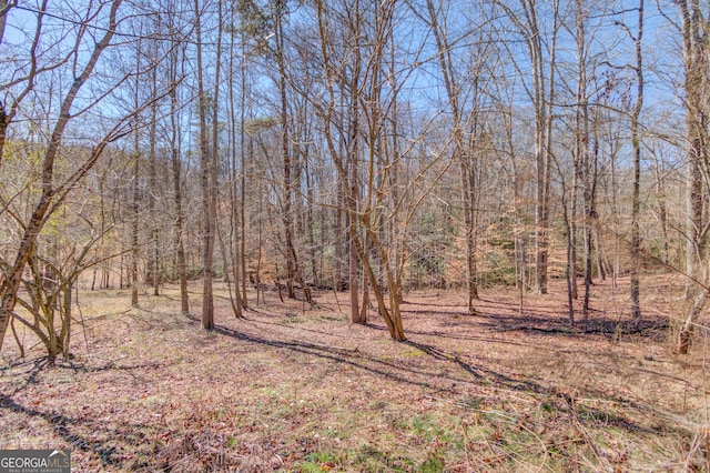 view of local wilderness with a forest view