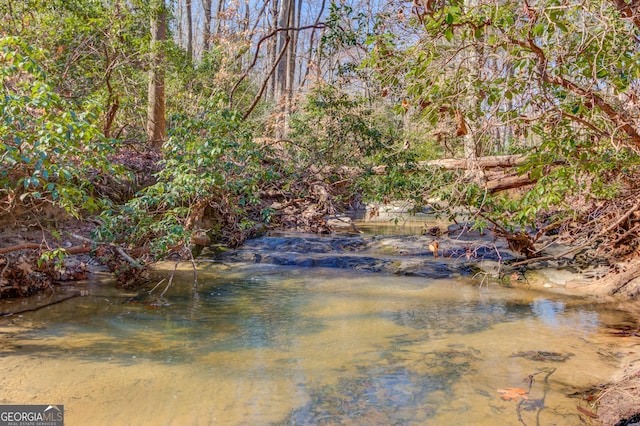 5016 Deer Creek Ct, Flowery Branch, GA 30542 - water view