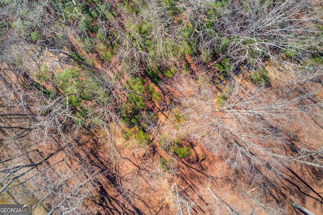 5016 Deer Creek Ct, Flowery Branch, GA 30542 - birds eye view of property