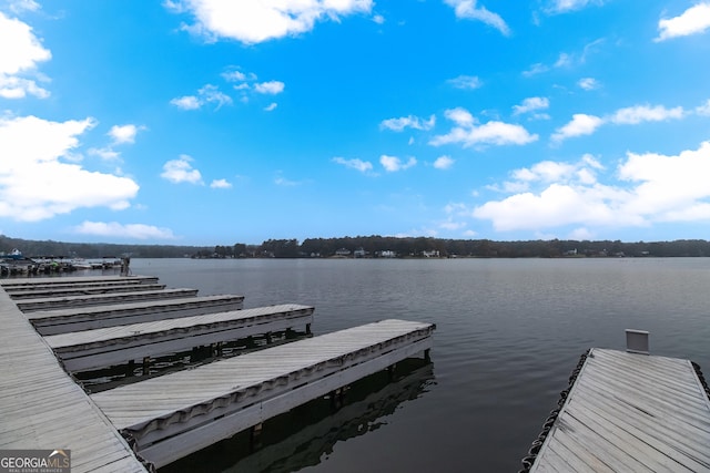 dock area with a water view