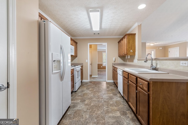 kitchen featuring white appliances, a sink, light countertops, brown cabinets, and crown molding