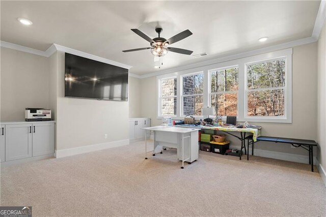 6326 Point Twenty Two, Gainesville, GA 30506 - home office with visible vents, light colored carpet, crown molding, and baseboards