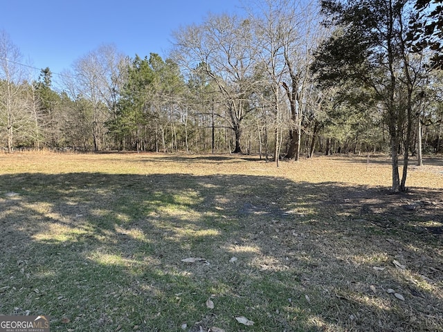 168 Chester Thomas Rd, Springfield GA, 31329 land for sale