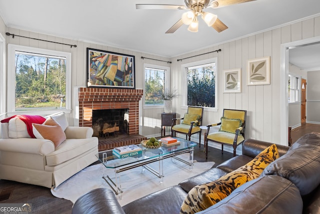 living room featuring ceiling fan, a fireplace, dark wood finished floors, and crown molding