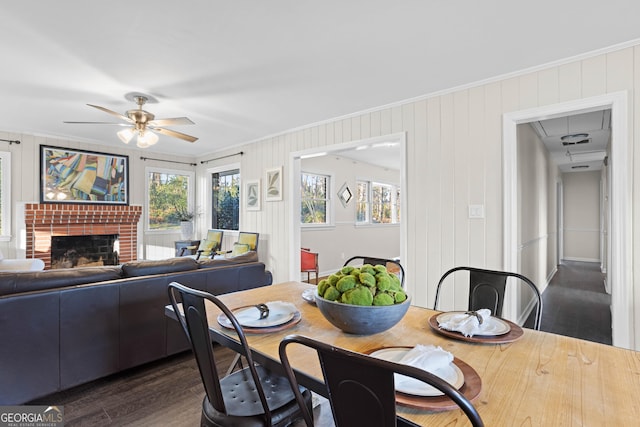 dining area featuring a brick fireplace, ceiling fan, dark wood finished floors, and crown molding