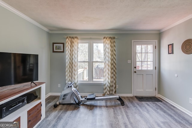 workout area with plenty of natural light, a textured ceiling, baseboards, and wood finished floors