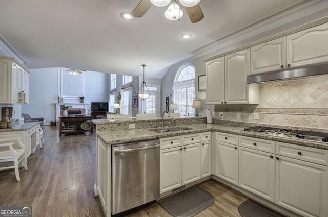 kitchen featuring appliances with stainless steel finishes, wood finished floors, a peninsula, under cabinet range hood, and a sink