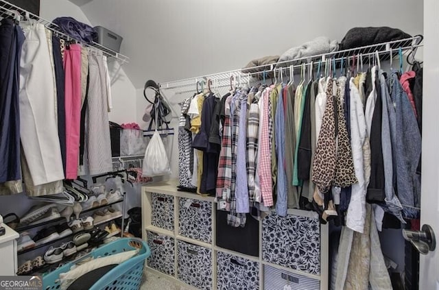view of spacious closet