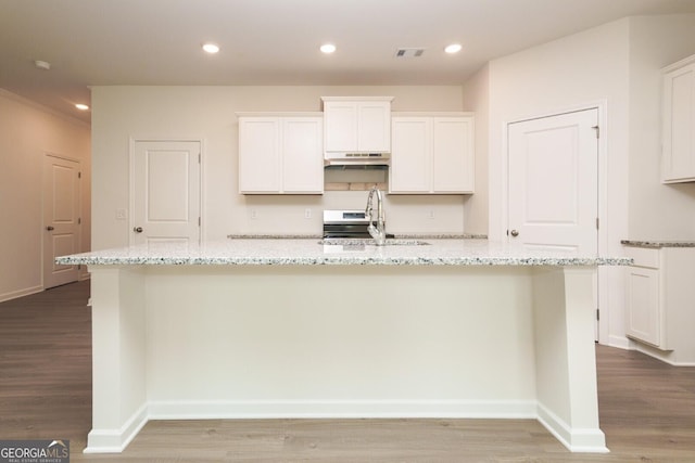 34 Russet Way Lot 57, Newnan, GA 30263 - kitchen featuring under cabinet range hood, a spacious island, light wood finished floors, white cabinetry, and recessed lighting