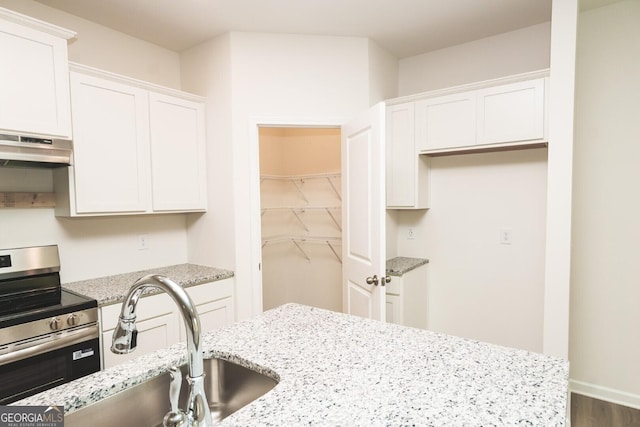 34 Russet Way Lot 57, Newnan, GA 30263 - kitchen with stainless steel electric stove, under cabinet range hood, a sink, and white cabinets