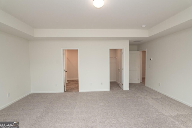 34 Russet Way Lot 57, Newnan, GA 30263 - unfurnished bedroom with a walk in closet, light carpet, baseboards, a tray ceiling, and a closet