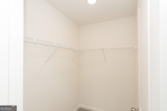 34 Russet Way Lot 57, Newnan, GA 30263 - view of spacious closet