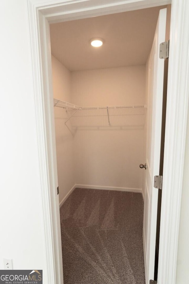 34 Russet Way Lot 57, Newnan, GA 30263 - walk in closet with carpet