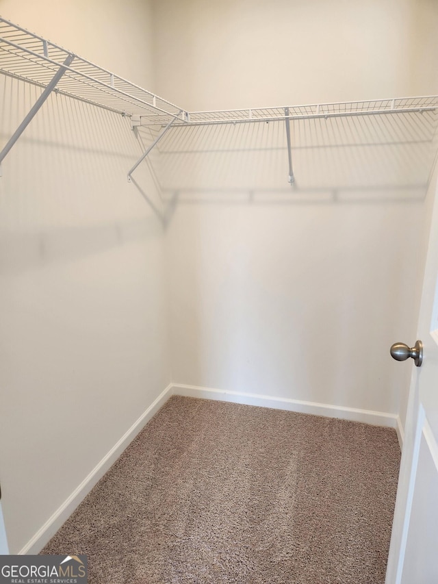 34 Russet Way Lot 57, Newnan, GA 30263 - walk in closet with carpet floors