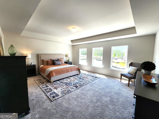 34 Russet Way Lot 57, Newnan, GA 30263 - carpeted bedroom with a tray ceiling and baseboards