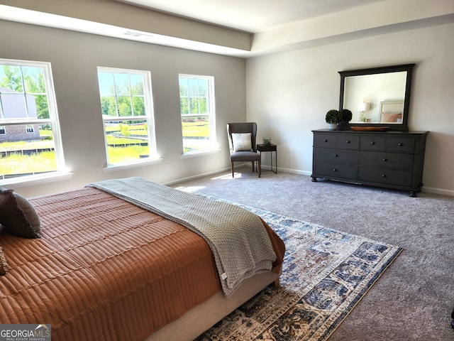 34 Russet Way Lot 57, Newnan, GA 30263 - carpeted bedroom with multiple windows and baseboards