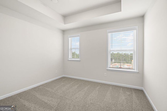 empty room with a raised ceiling, carpet flooring, plenty of natural light, and baseboards