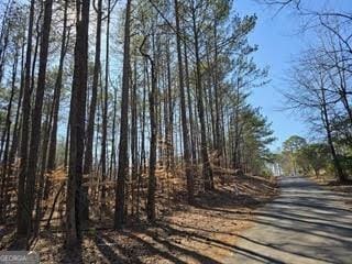 0 Lake Louella Rd NW, Suwanee GA, 30024 land for sale