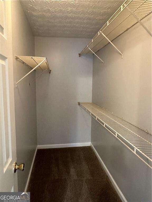 walk in closet featuring carpet floors