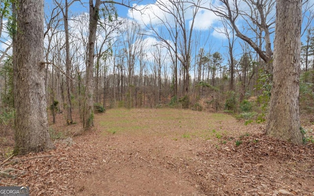 view of local wilderness