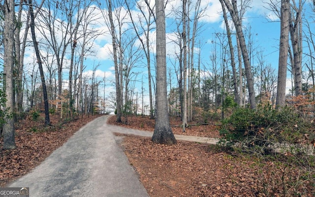 view of road