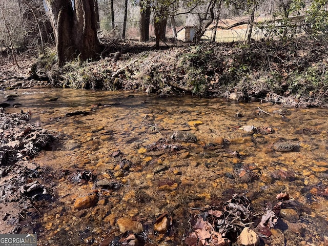 view of local wilderness