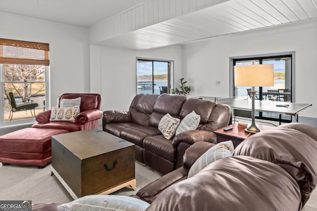 living room featuring light colored carpet