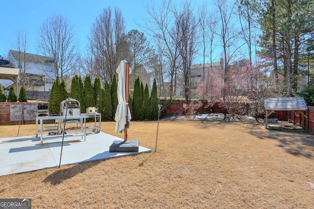 view of yard featuring a patio area and a fenced backyard