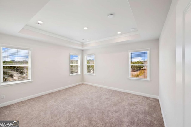 empty room with light carpet, a tray ceiling, ornamental molding, and baseboards