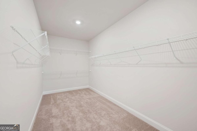 spacious closet featuring light colored carpet