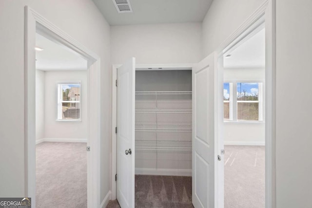 closet with visible vents