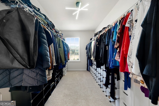 walk in closet featuring light colored carpet