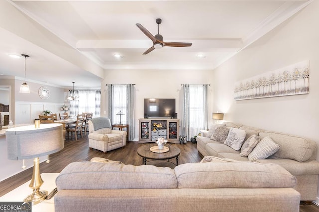 living area featuring ceiling fan, ornamental molding, and dark wood-style flooring