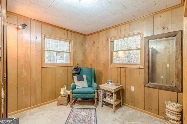 living area featuring wood walls, plenty of natural light, and light colored carpet