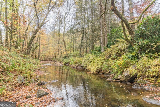 property view of water with a forest view