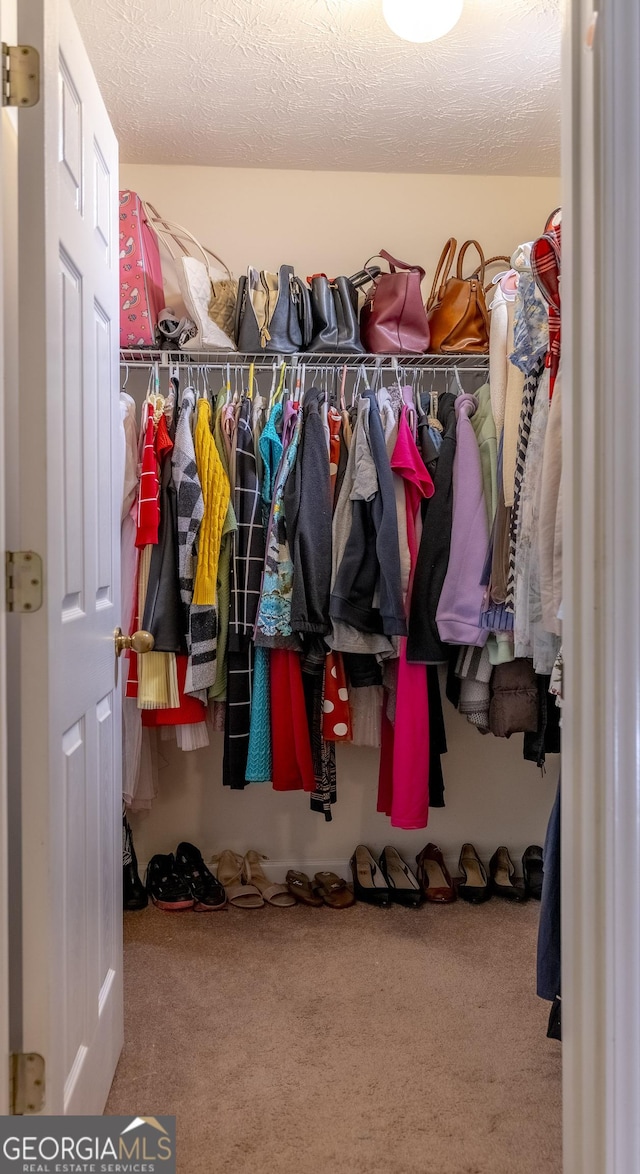 walk in closet with carpet floors