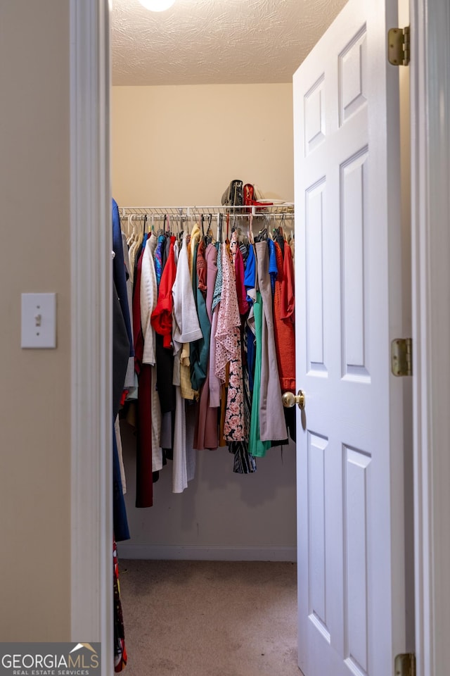 spacious closet with carpet