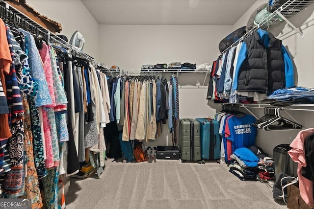 spacious closet with carpet flooring