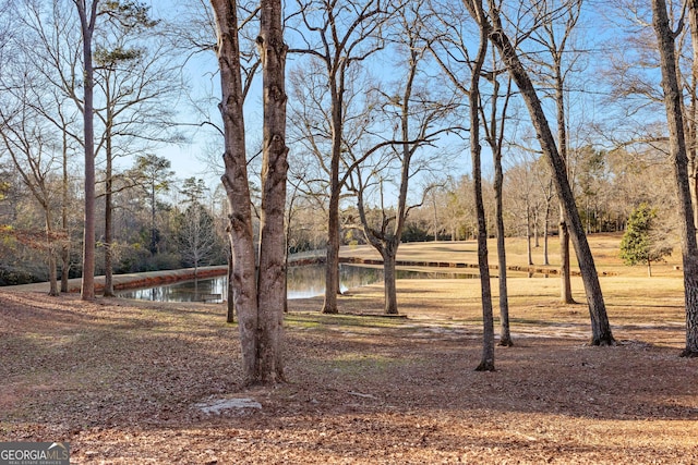 view of yard featuring a water view