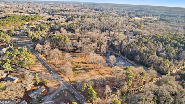 drone / aerial view