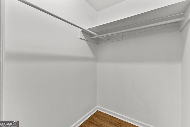 walk in closet featuring wood finished floors
