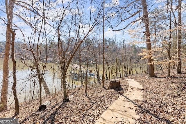 view of yard featuring a water view