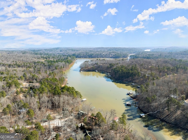 birds eye view of property featuring a water view and a wooded view